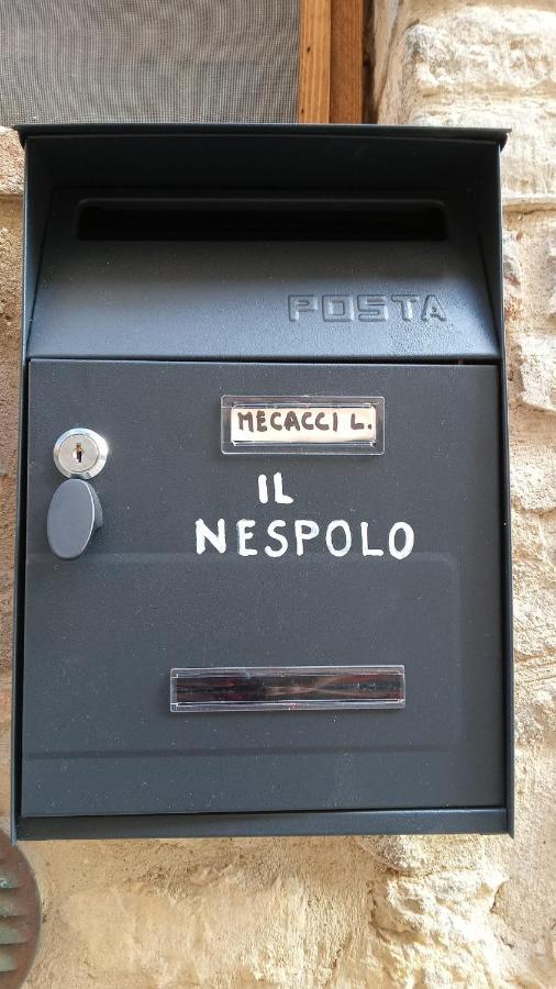 Appartamento Il Nespolo Сан Джиминяно Екстериор снимка